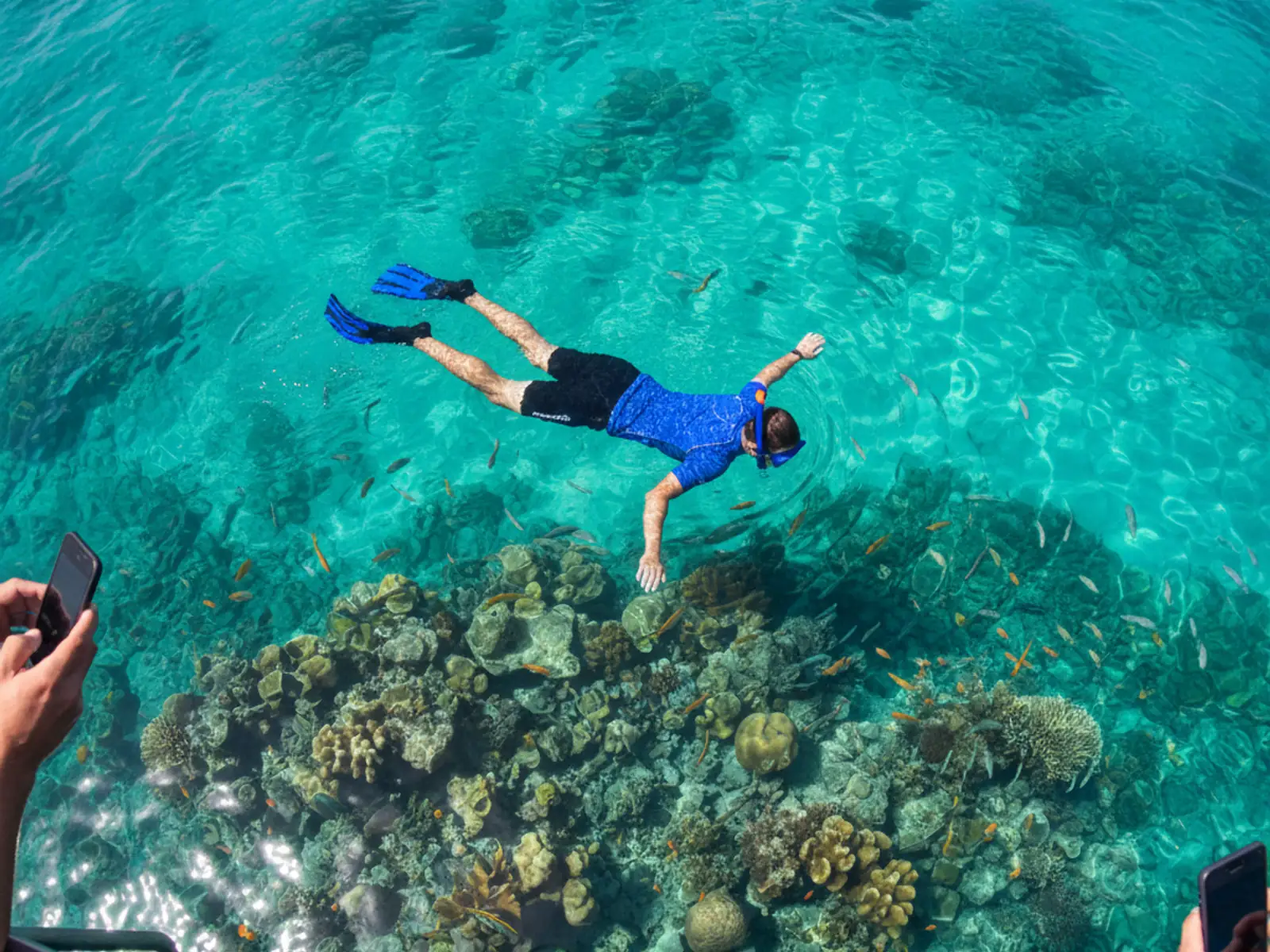 Snorkeling