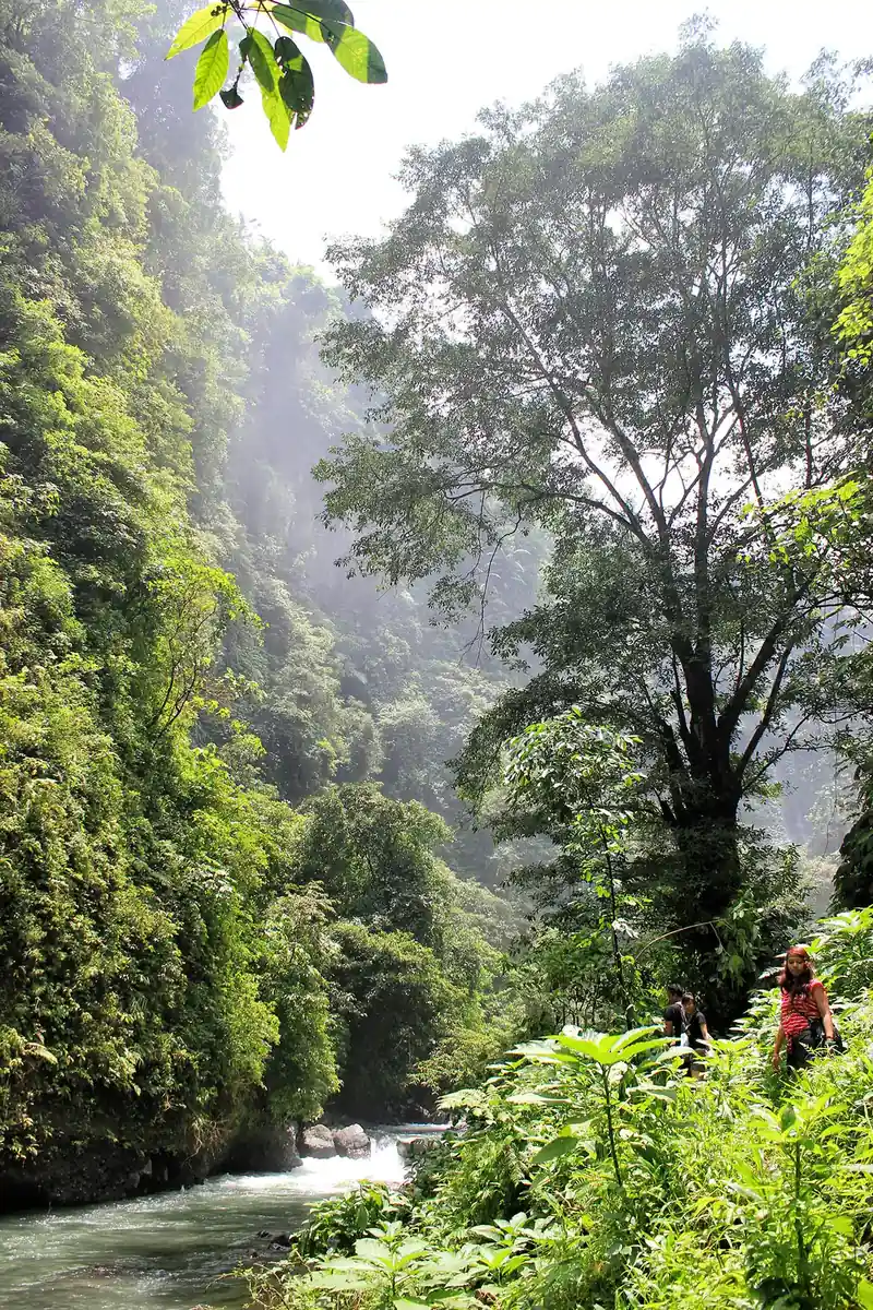 Sekumpul Waterfall